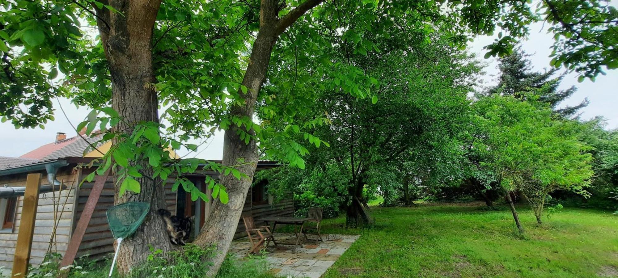 Ferienhaus Luna Villa Drahnsdorf Kültér fotó