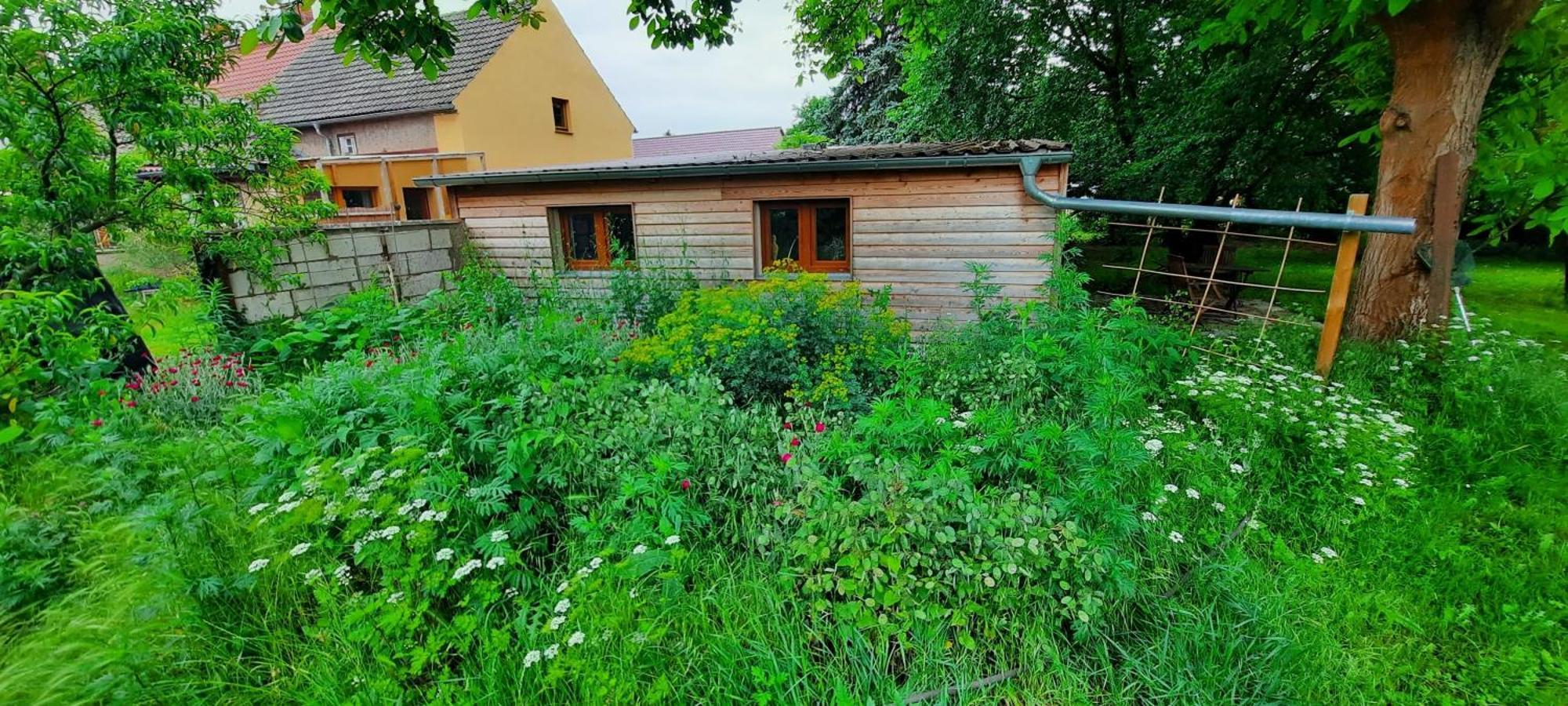 Ferienhaus Luna Villa Drahnsdorf Kültér fotó