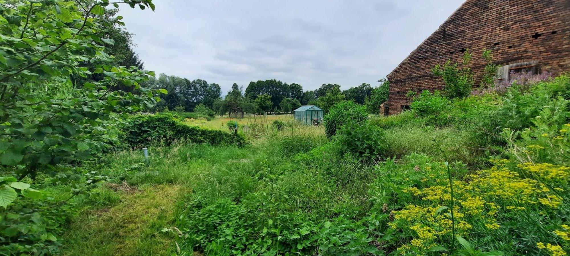 Ferienhaus Luna Villa Drahnsdorf Kültér fotó