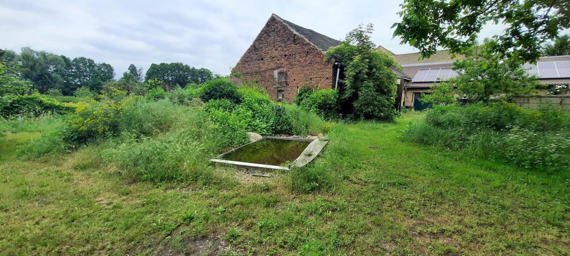 Ferienhaus Luna Villa Drahnsdorf Kültér fotó