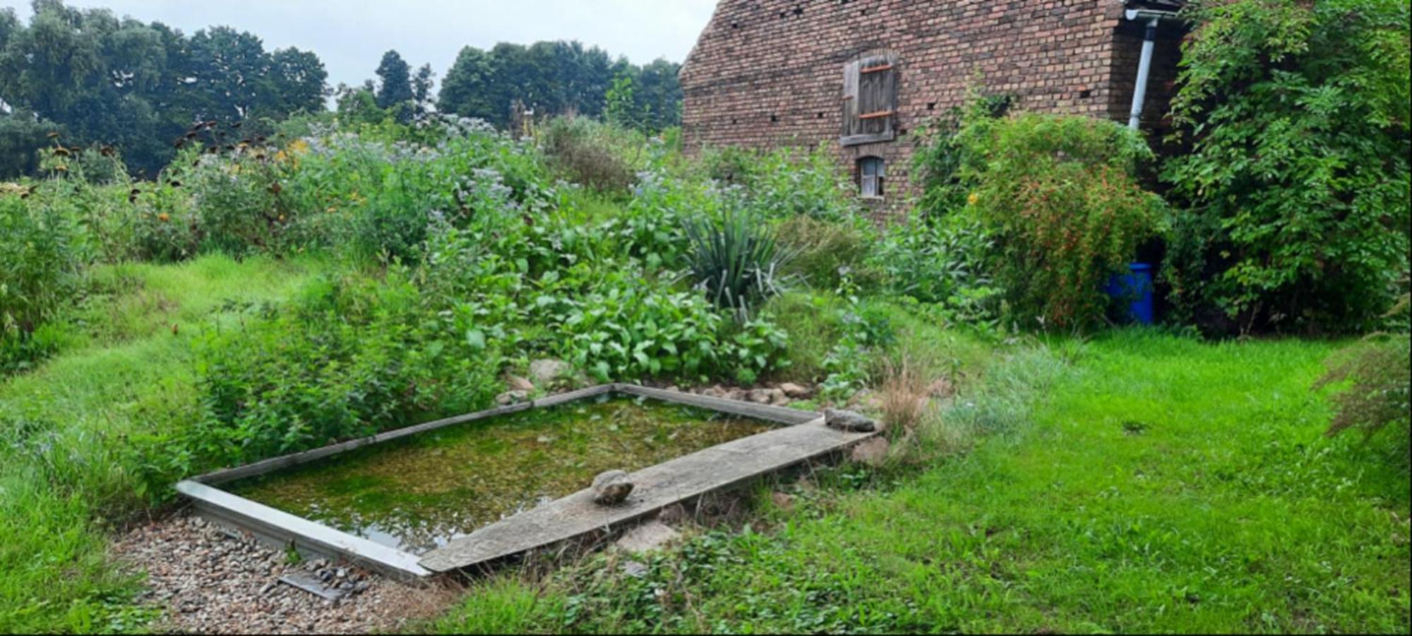 Ferienhaus Luna Villa Drahnsdorf Kültér fotó